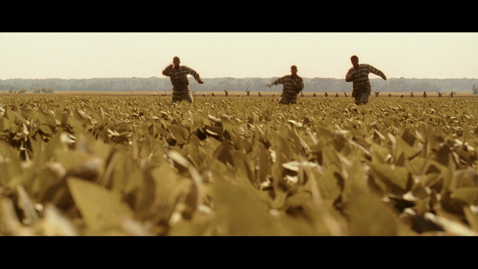 The Coen Brothers [4.4] – An Odyssey Into Style