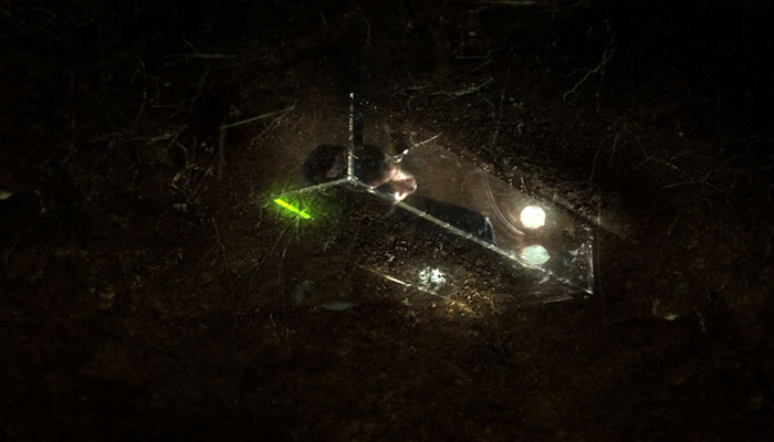 Quentin Tarantino’s CSI “Grave Danger” Episodes (2005)