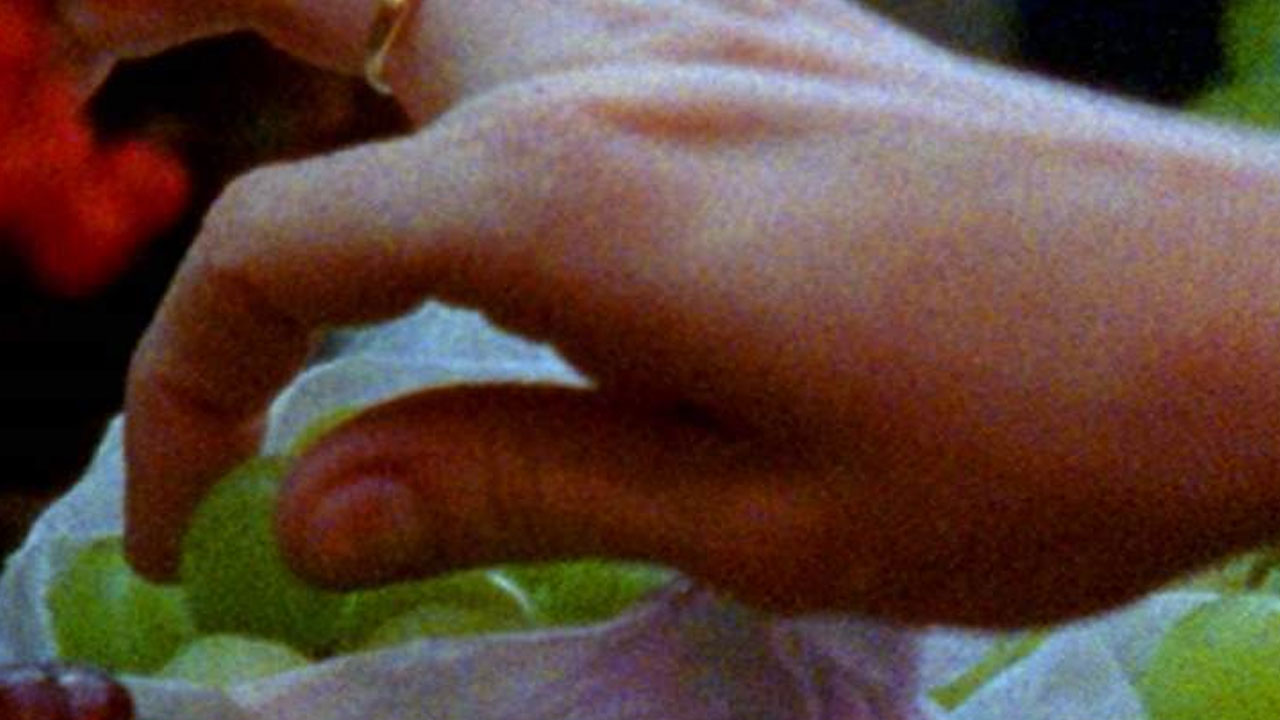 Josh Safdie’s “The Pleasure Of Being Robbed” (2008)