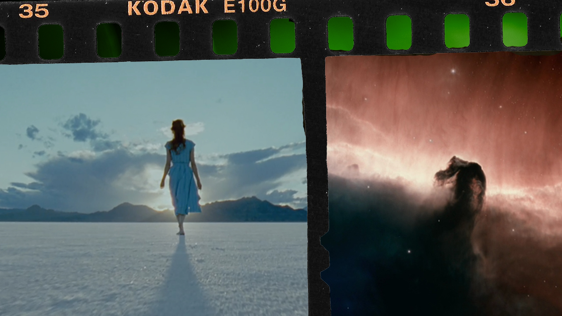 “The Tree of Life”: The Art of Capturing Infinity